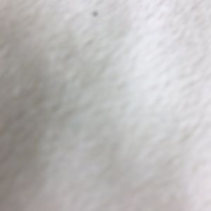 Meet your Posher, Princess